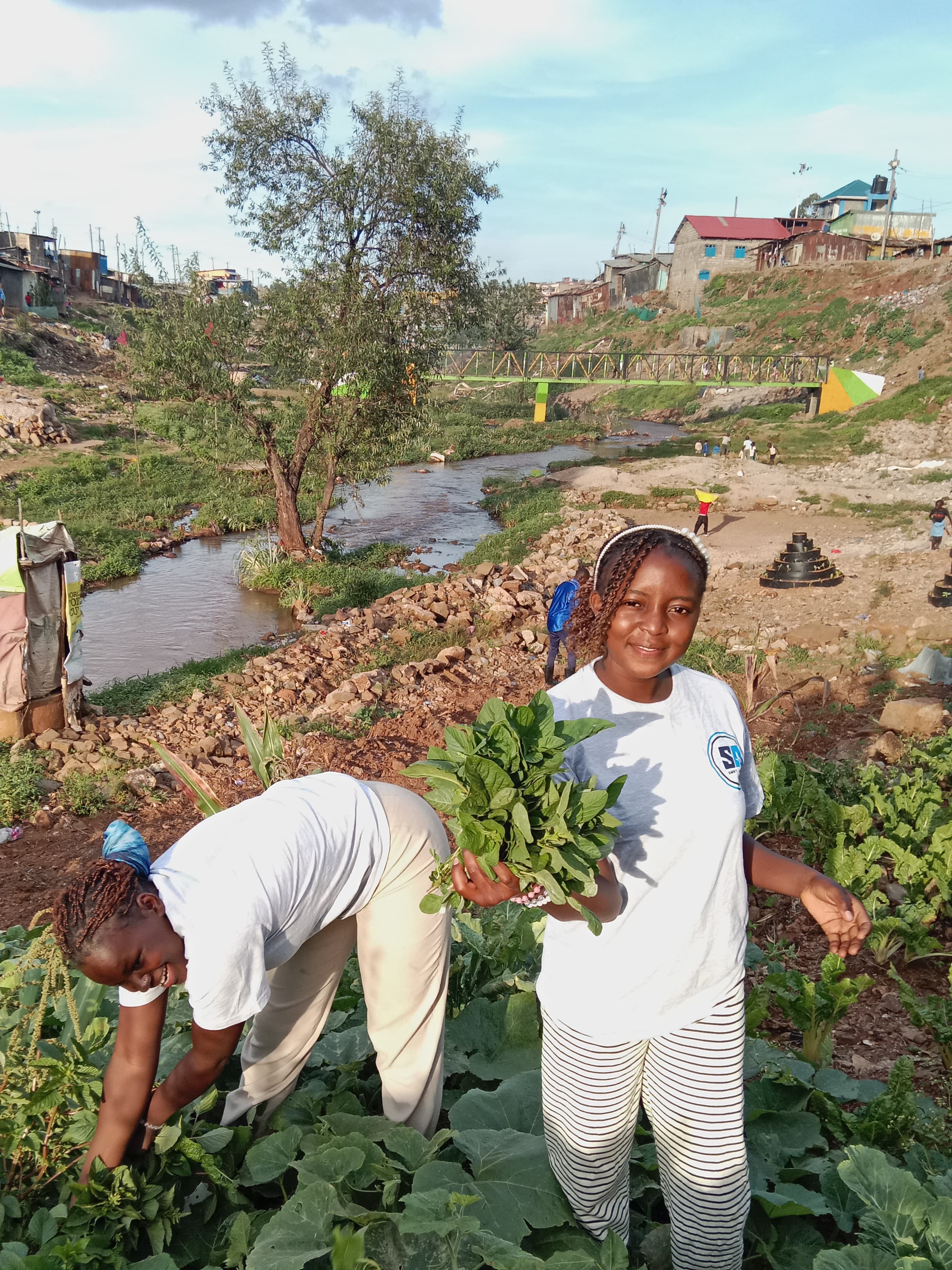 Swift Actors community members harvesting vegetables